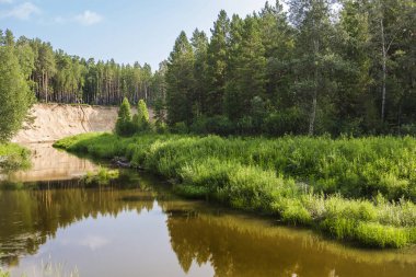 Karakan nehir Sibirya'daki Novosibirsk Oblastı, Rusya Federasyonu