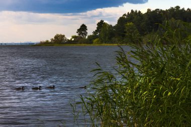 Akşam Ob nehir fırtına öncesi sessizlik