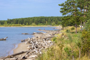 Ob baraj gölünün kıyısında dinlenme. Novosibirsk Oblastı, Si