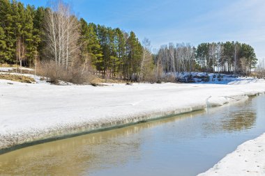Nehri üzerinde buz erime ile bahar manzara. Ayrı bir nehir (Ob Nehri'nin bir kolu), Novosibirsk Oblastı, Sibirya, Rusya Federasyonu