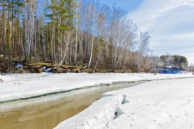 Nehri üzerinde buz erime ile bahar manzara. Ayrı bir nehir (Ob Nehri'nin bir kolu), Novosibirsk Oblastı, Sibirya, Rusya Federasyonu