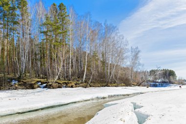 Nehri üzerinde buz erime ile bahar manzara. Ayrı bir nehir (Ob Nehri'nin bir kolu), Novosibirsk Oblastı, Sibirya, Rusya Federasyonu