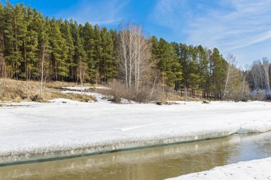 Nehri üzerinde buz erime ile bahar manzara. Ayrı bir nehir (Ob Nehri'nin bir kolu), Novosibirsk Oblastı, Sibirya, Rusya Federasyonu