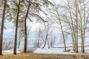Bahar manzara nehir buz erime ile. Nehir Ob, Novosibirsk Oblastı, Sibirya, Rusya Federasyonu