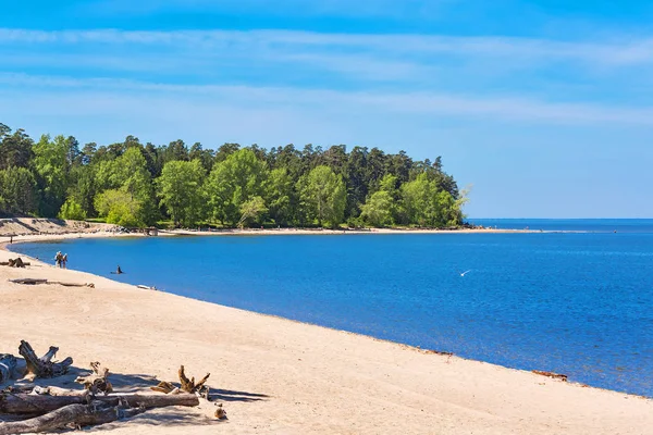 Ob ve Berd, Berdsk, izdiham Novosibirsk Oblastı, Sibirya, Rusya Federasyonu - 4 Haziran 2017: sahilde turistler Nehri üzerinde