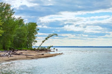 Nehir manzara, akşam. Nehir Berd, Berdsk, Novosibirsk Oblastı, Sibirya, Rusya Federasyonu