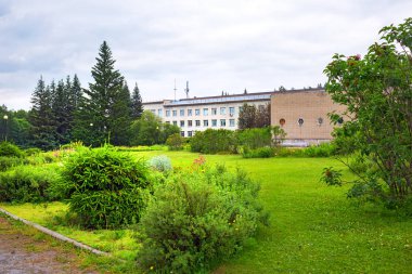 Orta Sibirya Botanik Bahçesi peyzaj. Novosibirs