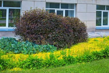 Bölge Merkezi Sibirya Botanik Bahçe, Novosibirsk, Sibirya, Rusya - 25 Haziran 2017: İdari Binası ve çevre düzenlemesi alanlarına