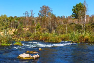 Suenginskiy şelale. Altın Nehri Suenga, Maslyaninsky district, Novosibirsk Oblastı, Sibirya, Rusya Federasyonu