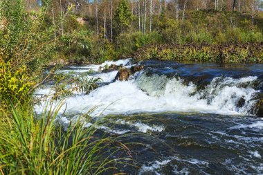 Suenginskiy şelale. Altın Nehri Suenga, Maslyaninsky district, Novosibirsk Oblastı, Sibirya, Rusya Federasyonu