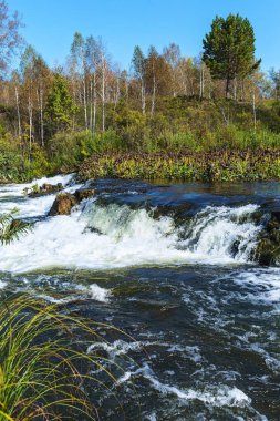 Suenginskiy şelale. Altın Nehri Suenga, Maslyaninsky district, Novosibirsk Oblastı, Sibirya, Rusya Federasyonu