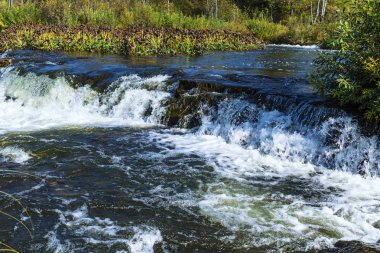 Suenginskiy şelale. Altın Nehri Suenga, Maslyaninsky district, Novosibirsk Oblastı, Sibirya, Rusya Federasyonu