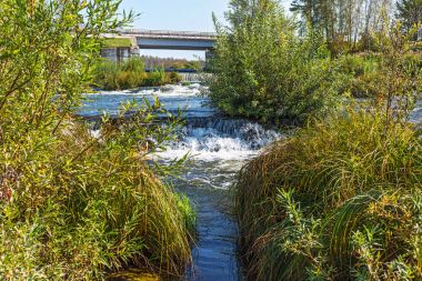 Suenginskiy şelale. Altın Nehri Suenga, Maslyaninsky district, Novosibirsk Oblastı, Sibirya, Rusya Federasyonu