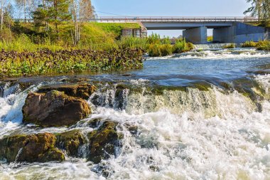 Suenginskiy şelale. Altın Nehri Suenga, Maslyaninsky district, Novosibirsk Oblastı, Sibirya, Rusya Federasyonu