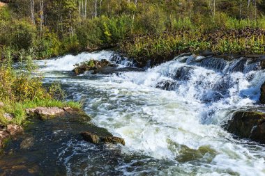 Suenginskiy şelale. Altın Nehri Suenga, Maslyaninsky district, Novosibirsk Oblastı, Sibirya, Rusya Federasyonu