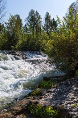Suenginskiy şelale. Altın Nehri Suenga, Maslyaninsky district, Novosibirsk Oblastı, Sibirya, Rusya Federasyonu