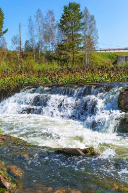 Suenginskiy şelale. Altın Nehri Suenga, Maslyaninsky district, Novosibirsk Oblastı, Sibirya, Rusya Federasyonu
