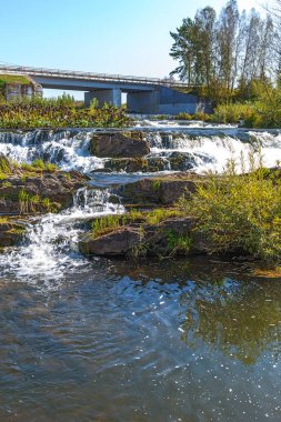 Suenginskiy şelale. Altın Nehri Suenga, Maslyaninsky district, Novosibirsk Oblastı, Sibirya, Rusya Federasyonu