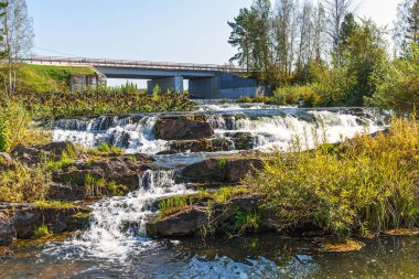 Suenginskiy şelale. Altın Nehri Suenga, Maslyaninsky district, Novosibirsk Oblastı, Sibirya, Rusya Federasyonu