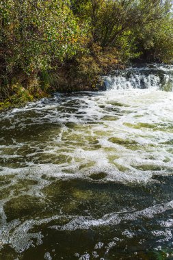 Suenginskiy şelale. Altın Nehri Suenga, Maslyaninsky district, Novosibirsk Oblastı, Sibirya, Rusya Federasyonu