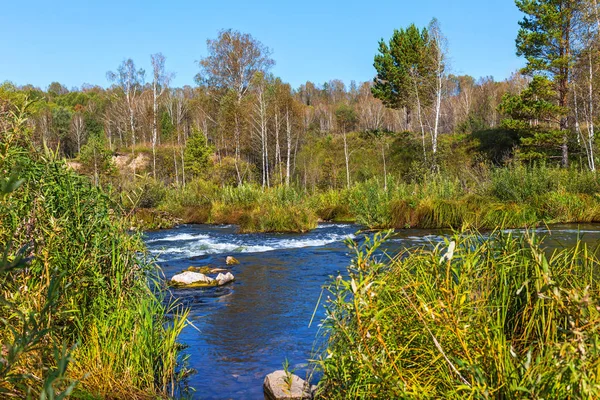 Suenginskiy şelale. Altın Nehri Suenga, Maslyaninsky district, Novosibirsk Oblastı, Sibirya, Rusya Federasyonu