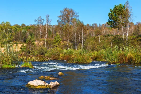 Suenginskiy şelale. Altın Nehri Suenga, Maslyaninsky district, Novosibirsk Oblastı, Sibirya, Rusya Federasyonu