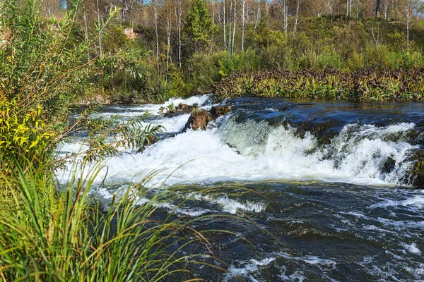 Suenginskiy şelale. Altın Nehri Suenga, Maslyaninsky district, Novosibirsk Oblastı, Sibirya, Rusya Federasyonu