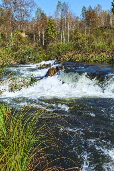 Suenginskiy şelale. Altın Nehri Suenga, Maslyaninsky district, Novosibirsk Oblastı, Sibirya, Rusya Federasyonu