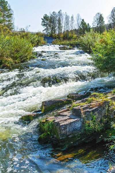 Suenginskiy şelale. Altın Nehri Suenga, Maslyaninsky district, Novosibirsk Oblastı, Sibirya, Rusya Federasyonu