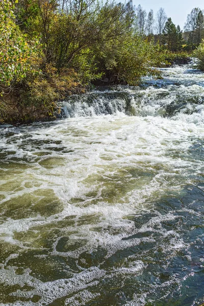 Suenginskiy şelale. Altın Nehri Suenga, Maslyaninsky district, Novosibirsk Oblastı, Sibirya, Rusya Federasyonu