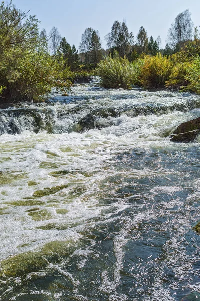 Suenginskiy şelale. Altın Nehri Suenga, Maslyaninsky district, Novosibirsk Oblastı, Sibirya, Rusya Federasyonu