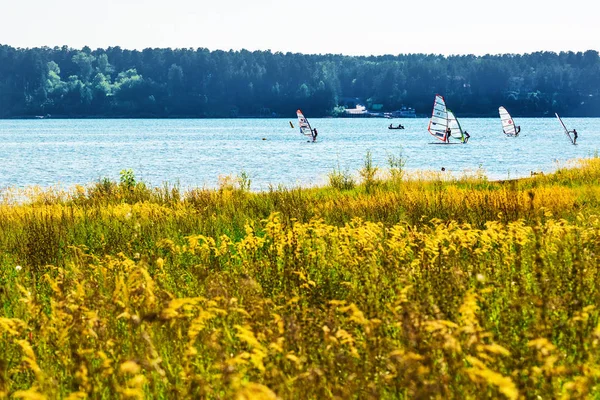 Řeky Berd Berdsk Novosibirsk Oblast Sibiř Rusko Srpna 2017 Plachtění — Stock fotografie