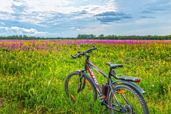 Kır çiçekleri arasında orman çim bisikleti