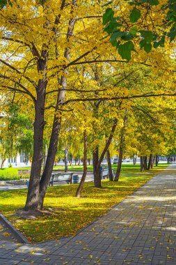 Şehir, Novosibirsk, Sibirya, Rusya Federasyonu - 17 Eylül 2017: sokak sonbahar ile ağaçları Novosibirsk Devlet Akademik Opera ve Bale Tiyatrosu parkta