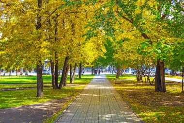 Şehir, Novosibirsk, Sibirya, Rusya Federasyonu - 17 Eylül 2017: sokak sonbahar ile ağaçları Novosibirsk Devlet Akademik Opera ve Bale Tiyatrosu parkta