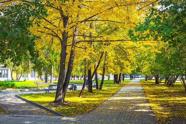 Şehir, Novosibirsk, Sibirya, Rusya Federasyonu - 17 Eylül 2017: sokak sonbahar ile ağaçları Novosibirsk Devlet Akademik Opera ve Bale Tiyatrosu parkta
