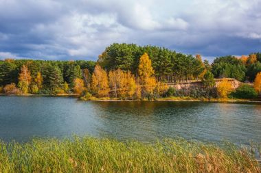 Sonbahar manzara. Ayrı nehir (Ob Nehri'nin bir kolu). Sibirya, Rusya Federasyonu