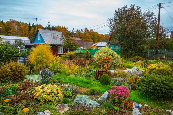 Uma Área Suburbana Com Jardim Flores Outono Final Setembro Sibéria — Fotografia de Stock