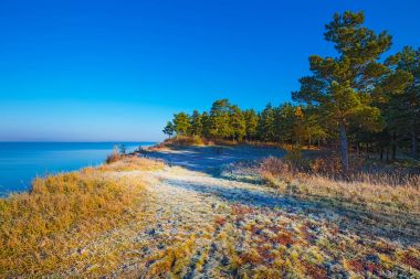 Sonbahar gündoğumu Nehri OB Sibirya, Rusya Federasyonu