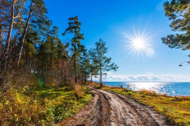 Yaz manzara Nehri üzerinde. Ob nehir, Sibirya, Rusya Federasyonu