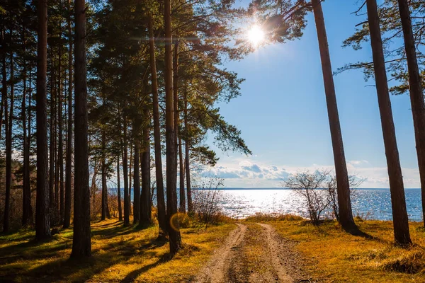 Die Straße Entlang Des Flusses Reservoir Nowosibirsk Oblast Nowosibirsk Sibirien — Stockfoto