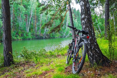 Nehir manzara bir bisiklet ile yaz. Sibirya, Rusya Federasyonu