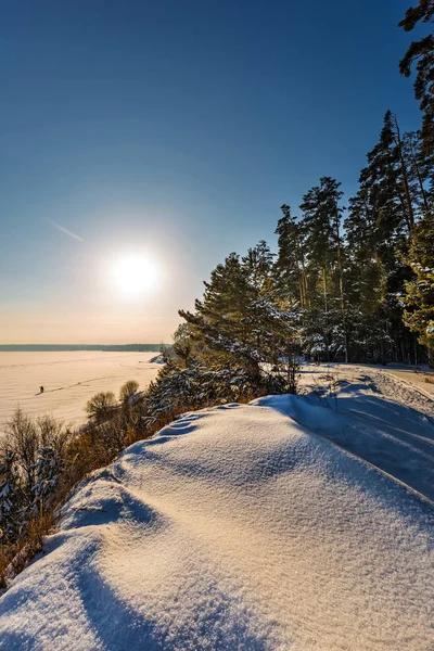 Berdsky 湾の景色 都市公園 Berd アヴェ Berdsk 川の自然の領土を特別保護ノヴォシビルスク州シベリア ロシア — ストック写真