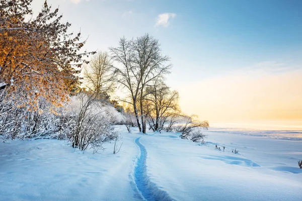 Siberian Winter Besneeuwde Rivier Een Voetpad Rivier Antwerp Novosibirsk Regio — Stockfoto