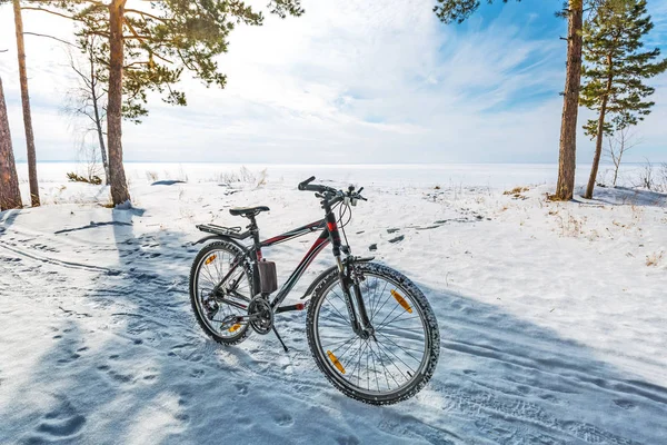 Winter walk on the bike. Western Siberia — Stock Photo, Image