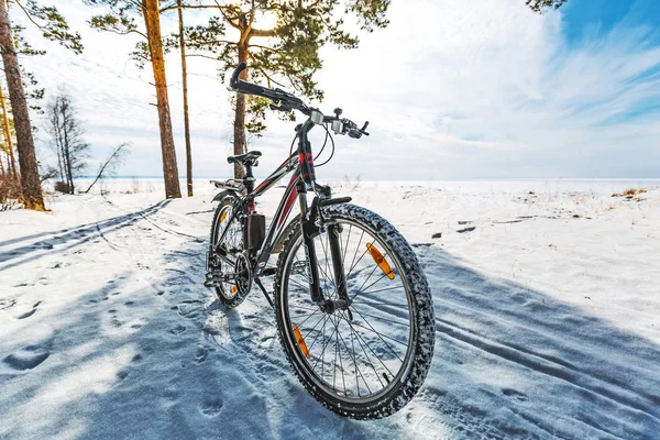 Winter walk on the bike. Western Siberia — Stock Photo, Image