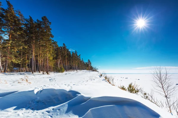 Paisaje invernal. Siberia, la costa del río Ob —  Fotos de Stock