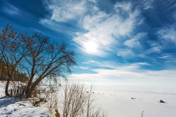 雪に覆われた冬の太陽でオビ川の海岸 シベリア ロシア ノボシビルスク地域 — ストック写真