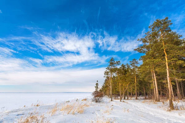 Paisaje invernal. Siberia, la costa del río Ob —  Fotos de Stock