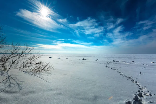 Snötäckta Havet Solig Dag Mars Reservoaren Novosibirsk Region Västra Sibirien — Stockfoto
